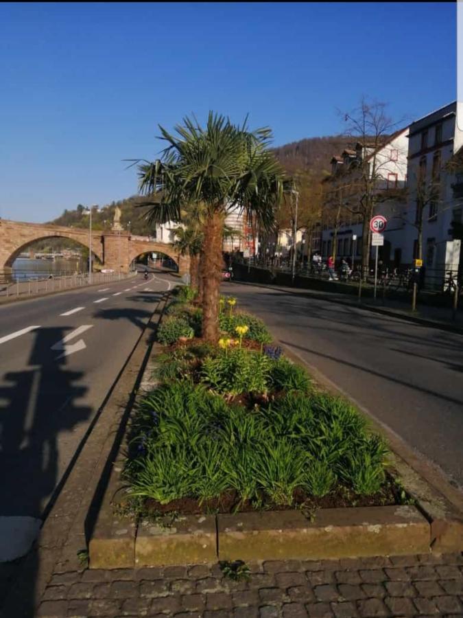 Ferienwohnung Tinas Beauty Neckarsteinach Exteriér fotografie
