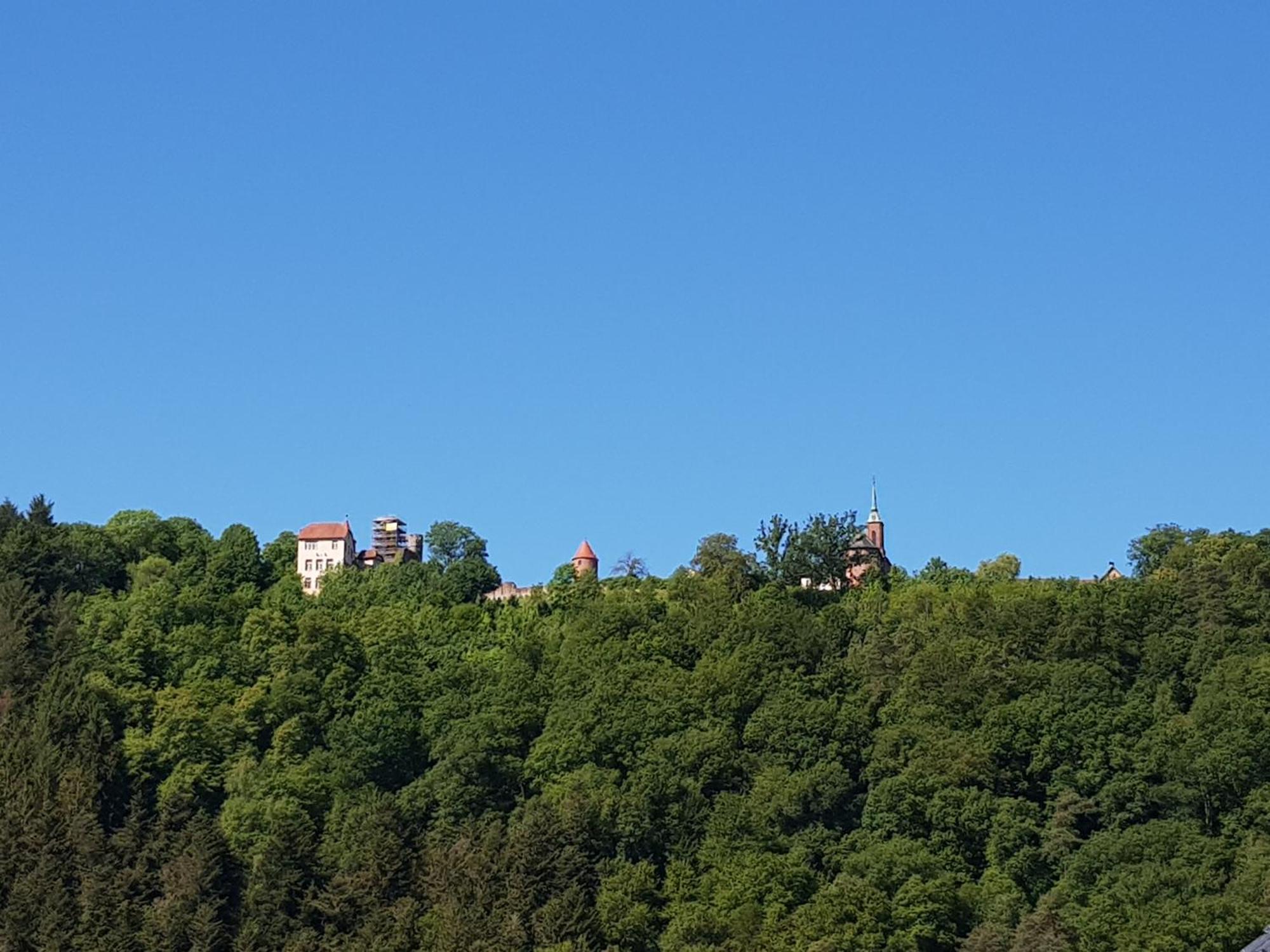 Ferienwohnung Tinas Beauty Neckarsteinach Exteriér fotografie