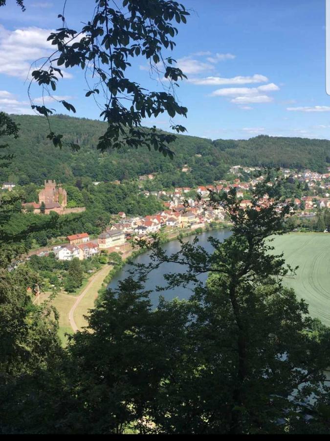 Ferienwohnung Tinas Beauty Neckarsteinach Exteriér fotografie