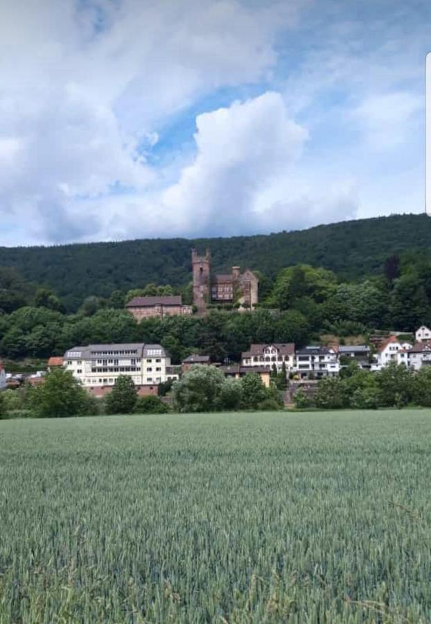 Ferienwohnung Tinas Beauty Neckarsteinach Exteriér fotografie