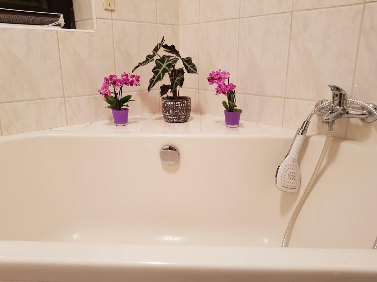 Ferienwohnung Tinas Beauty Neckarsteinach Exteriér fotografie