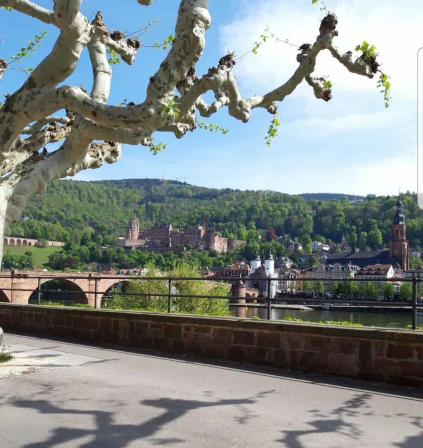 Ferienwohnung Tinas Beauty Neckarsteinach Exteriér fotografie