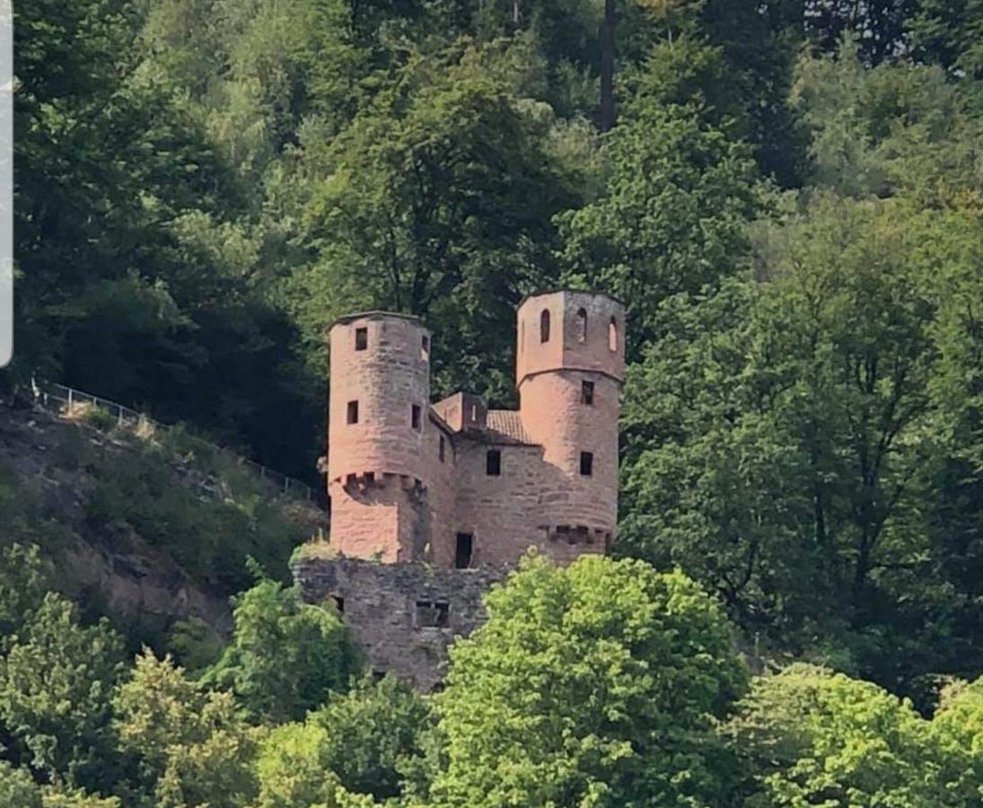 Ferienwohnung Tinas Beauty Neckarsteinach Exteriér fotografie