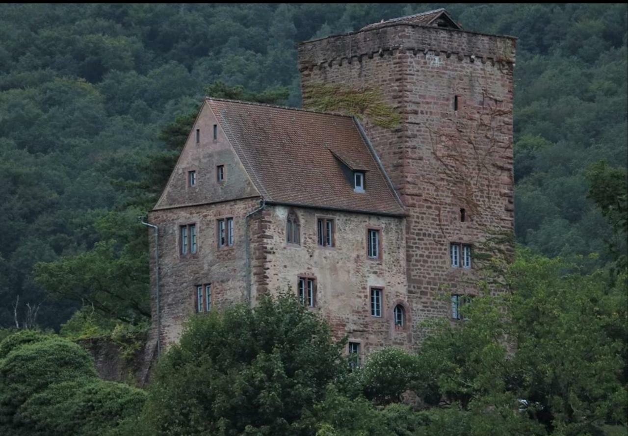 Ferienwohnung Tinas Beauty Neckarsteinach Exteriér fotografie